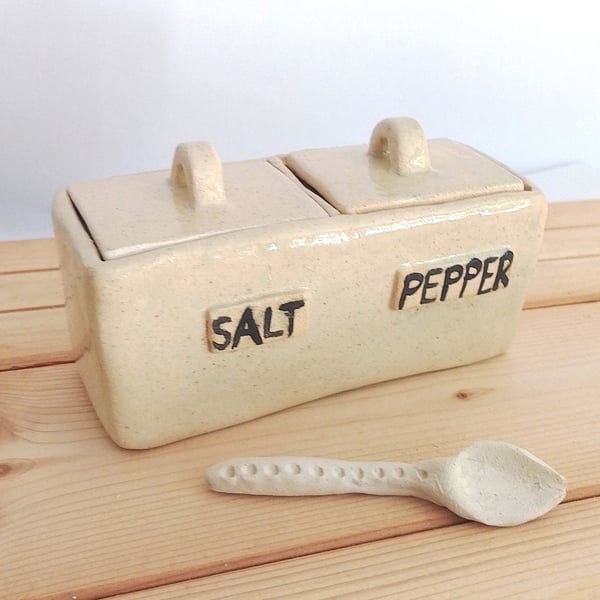 Ceramic hand made Salt and Pepper holder with Lid & Spoon, pottery condiment ser