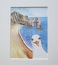 Print of Seagull visiting Durdle Door at Dorset Coast - Image 2