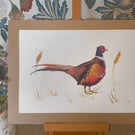 Pheasant in the barley Print A4