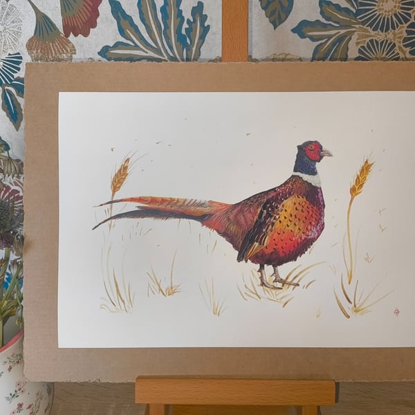 Pheasant in the barley Print A4
