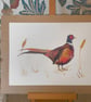 Pheasant in the barley Print A4