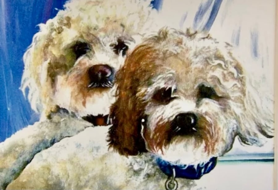 BICHON BROTHERS