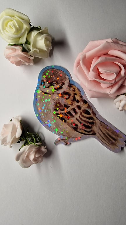 Bird holographic vinyl sticker