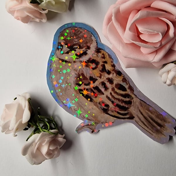 Bird holographic vinyl sticker