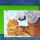 "Algie and the Hydrangeas"