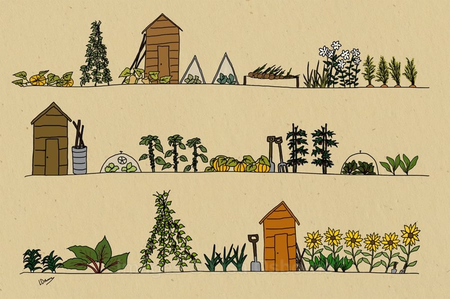 Vegetable Garden. Autumn. Signed print. Digital illustration. Gardening. Plants