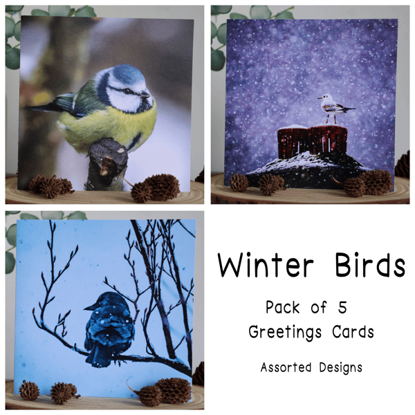 Winter Birds - Pack of 5 Christmas Cards - Assorted Designs