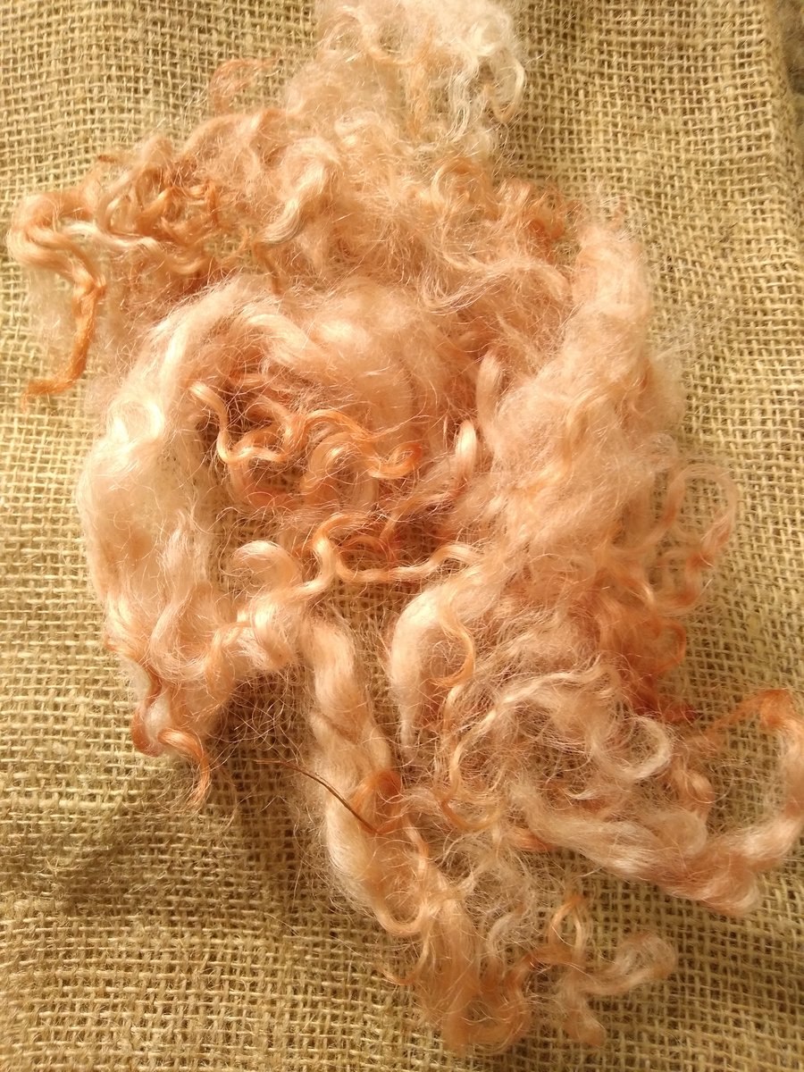 Pale Ginger Valais Blacknose loose curls and wool locks, 10g, felting wool