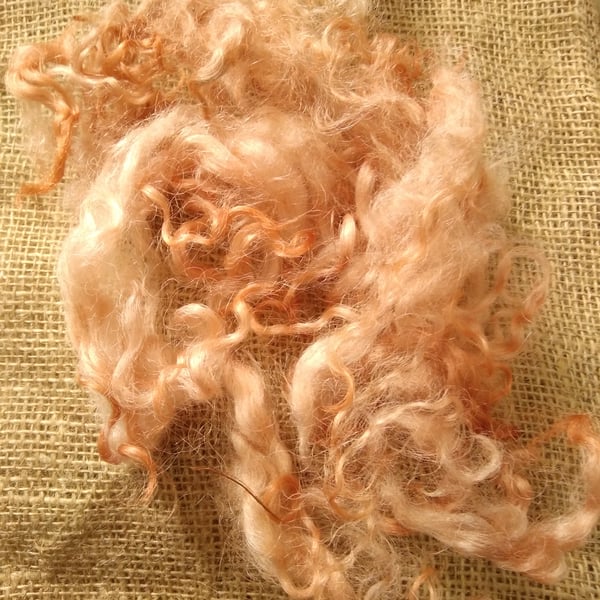 Pale Ginger Valais Blacknose loose curls and wool locks, 10g, felting wool