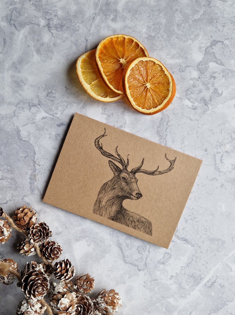 Deer Card - Ink Drawing - Blank Inside
