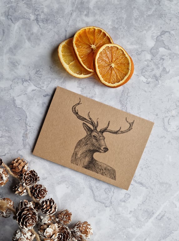 Deer Card - Ink Drawing - Blank Inside
