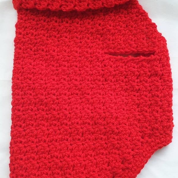 Red dog sweater, dog sweater for small dog or puppy