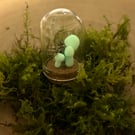 Nature Curio Trinket