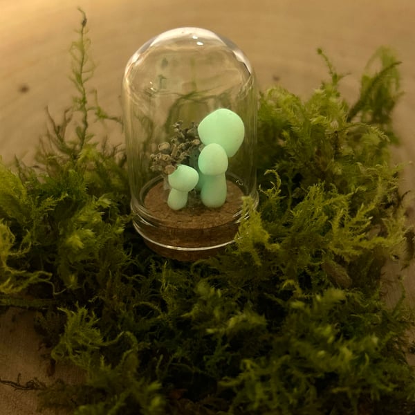 Nature Curiosity Dome