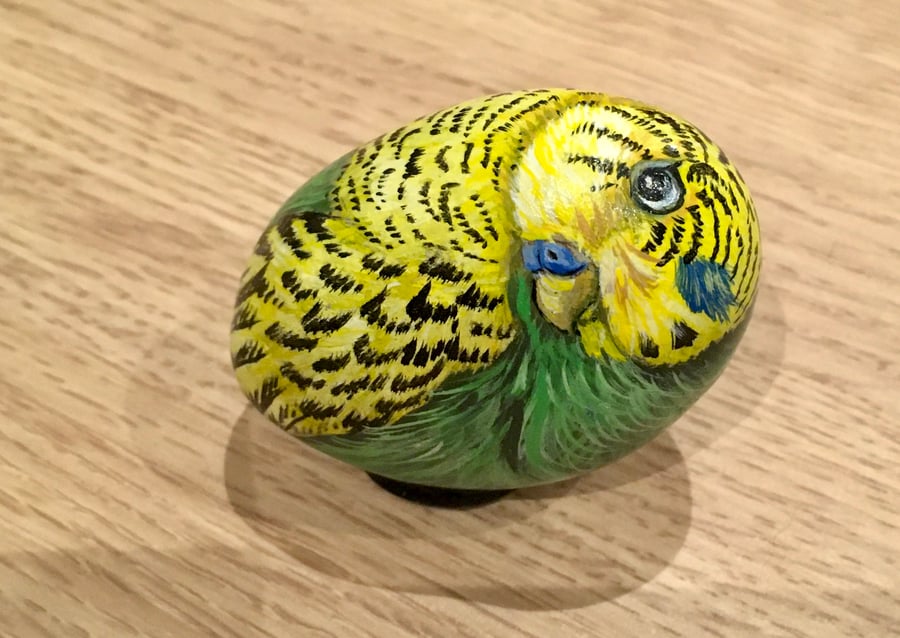 Budgie hand painted pebble garden rock art pet stone portrait 