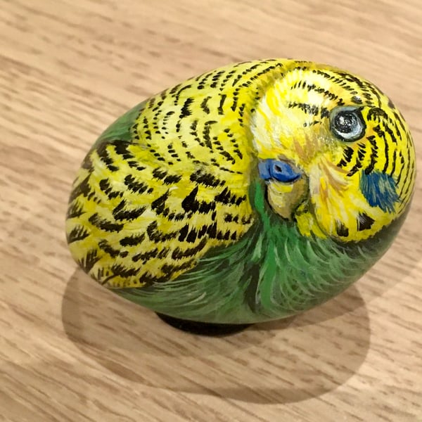 Budgie hand painted pebble garden rock art pet stone portrait 