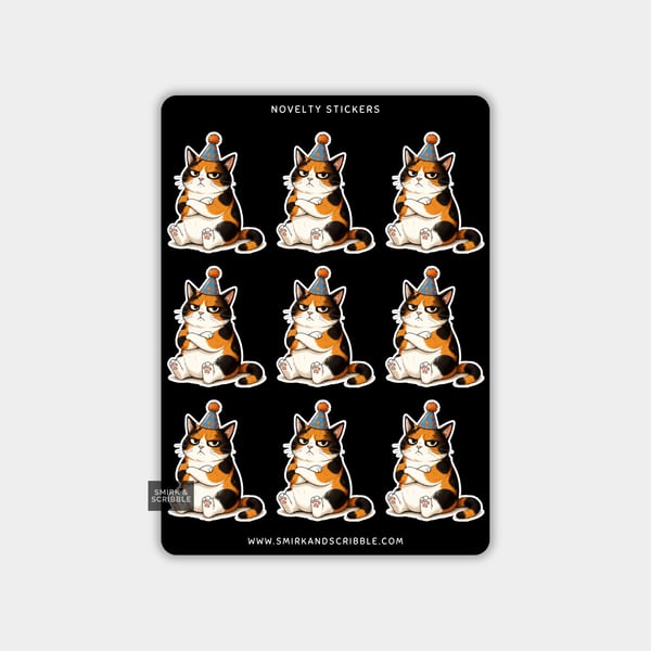 Funny Vinyl Sticker Sheet For Adults - Birthday Cat