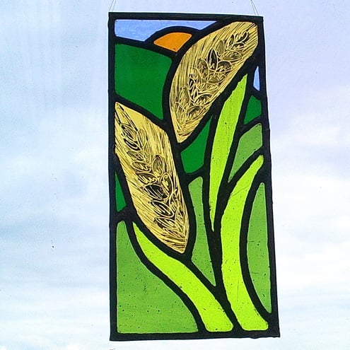 Sunset through the corn