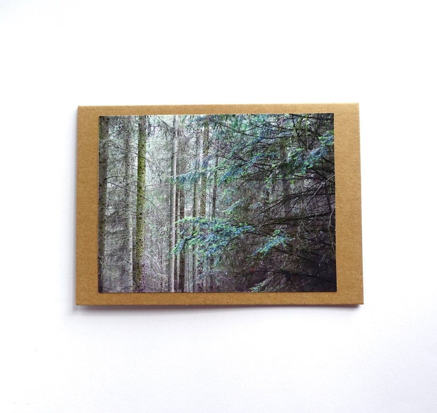 Forest Cards - READY TO SHIP