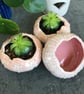 Ceramic succulent planters - Image 3