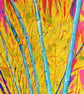 Framed Bamboo Oil Painting Colourful Maximalist Art - Image 1