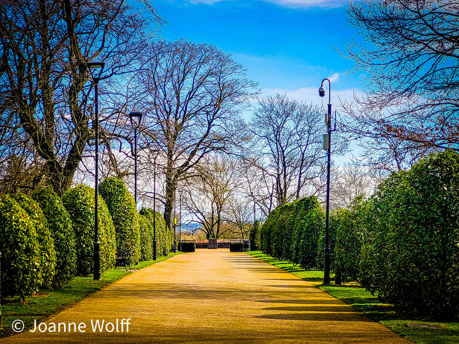 Photographic Image of Tree Lined Pathway, Castle Gardens, Lisburn for Wall Art