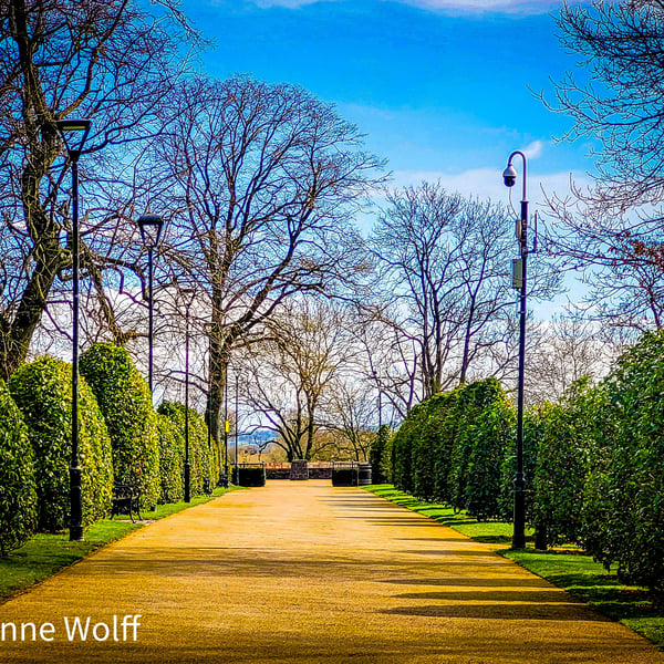 Photographic Image of Tree Lined Pathway, Castle Gardens, Lisburn for Wall Art