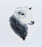Herdwick Ewe Sheep Acrylic Portrait Painting  - Image 2