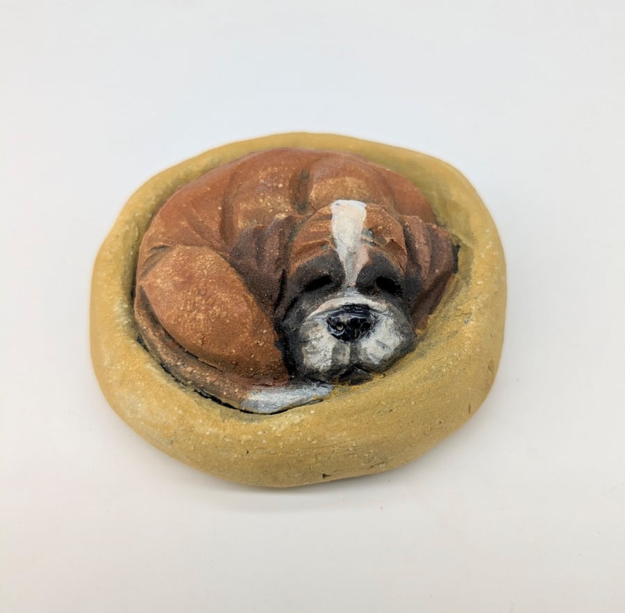 Yorkshire Pudding - Boxer Dog
