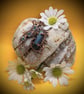 Antique Copper Anatomical Heart - Image 2