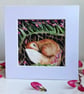 Mounted Original Resting Fox with Pink Flowers Watercolour  - Image 1