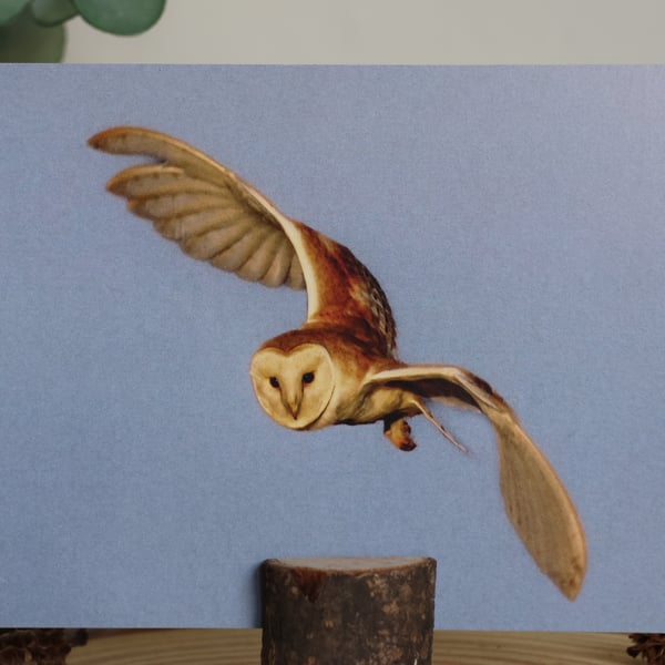 Barn Owl Photograph A6 Postcard 