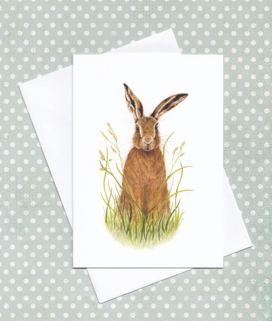 Hare Greetings Card, Wildlife Illustration