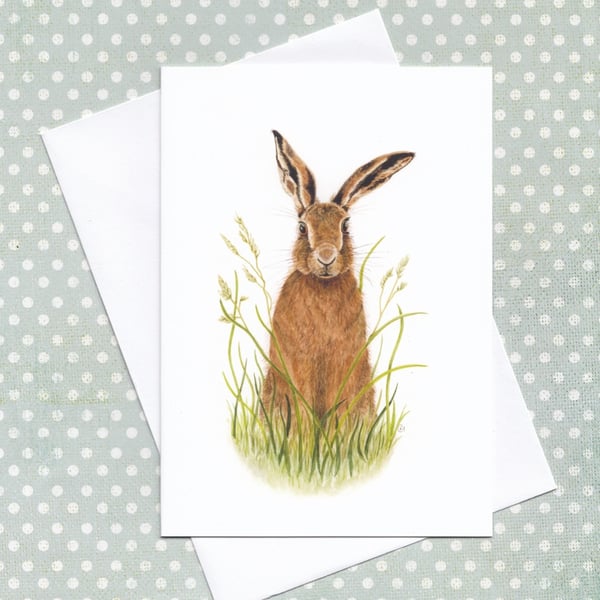 Hare Greetings Card, Wildlife Illustration