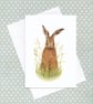 Hare Greetings Card, Wildlife Illustration