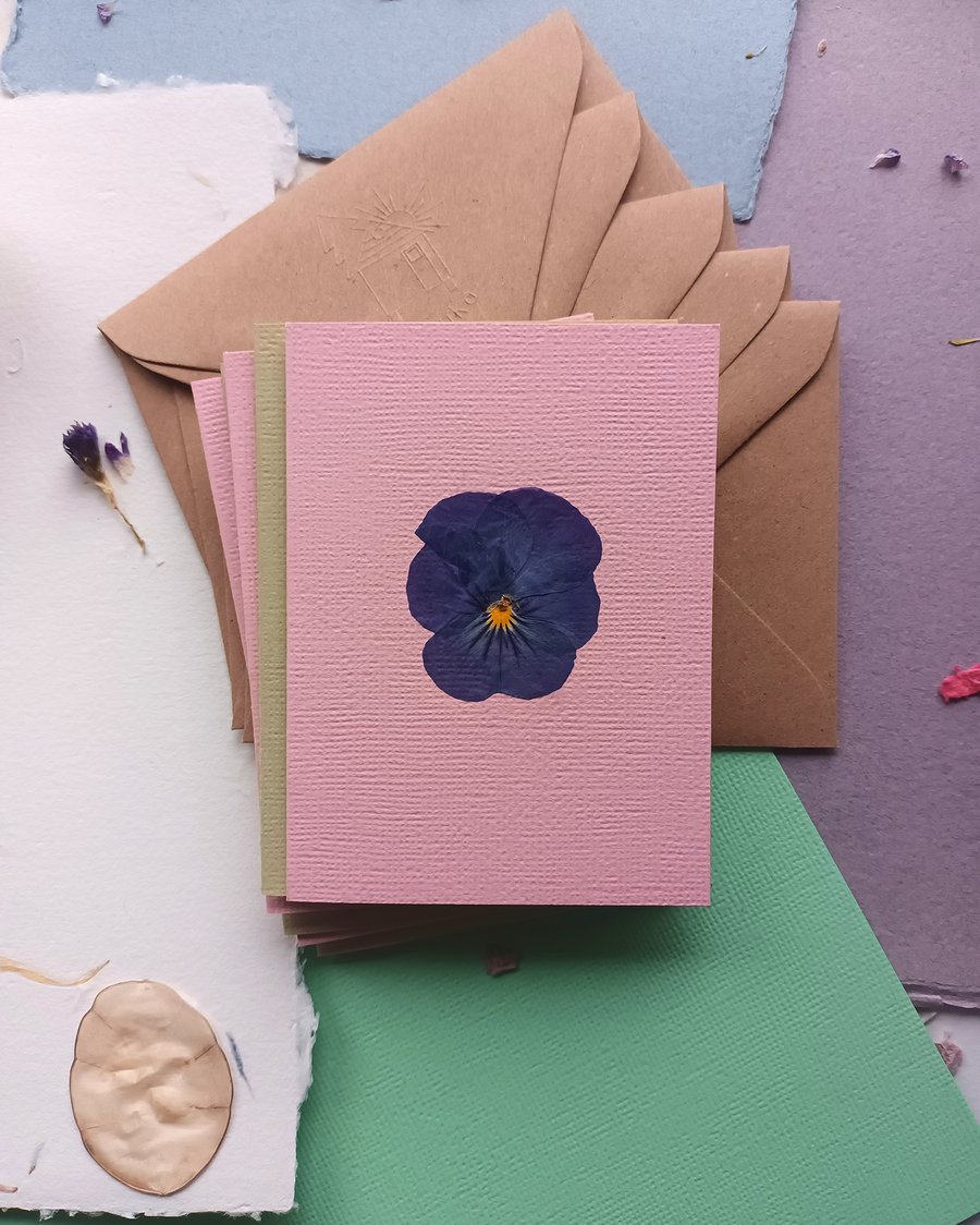 Real Pressed Viola Flower Greeting Card. Congratulations, Birthday