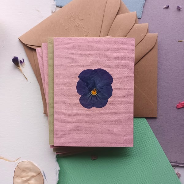 Real Pressed Viola Flower Greeting Card. Congratulations, Birthday
