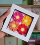 Sunlit Garden - Little Joy Blooms (Frames)