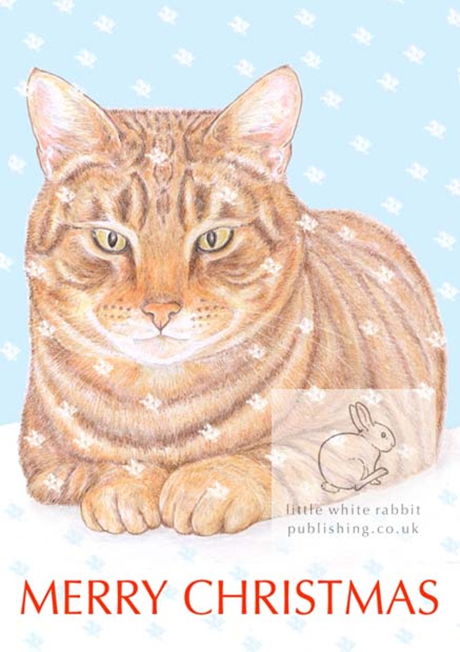 Monty the Cat - Christmas Card