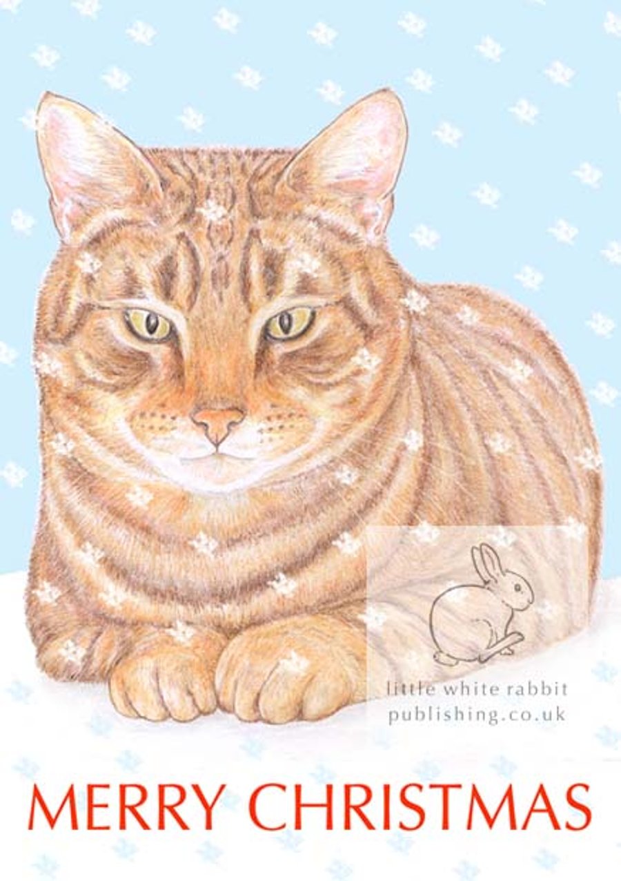 Monty the Cat - Christmas Card