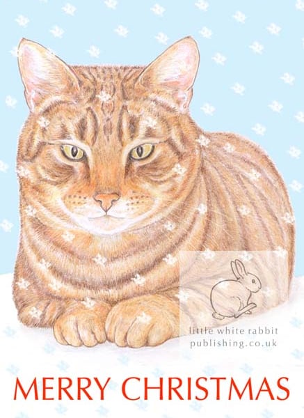 Monty the Cat - Christmas Card