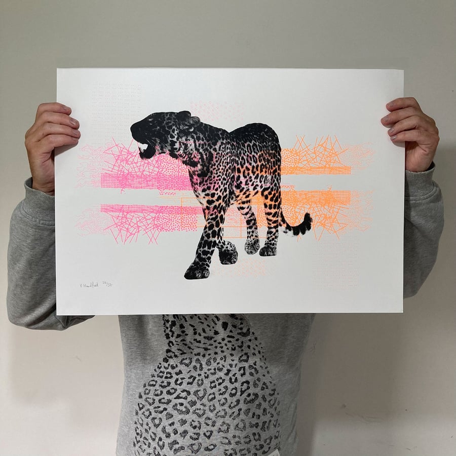 Screen Printed Poster - 'A Leopard Always Chang... - Folksy