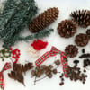 Christmas Craft Kit