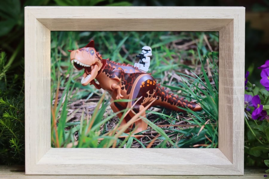 Framed Lego figures, Stormtrooper taking his dinosaur for a walk.