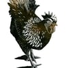 Hen 2-colour linocut print