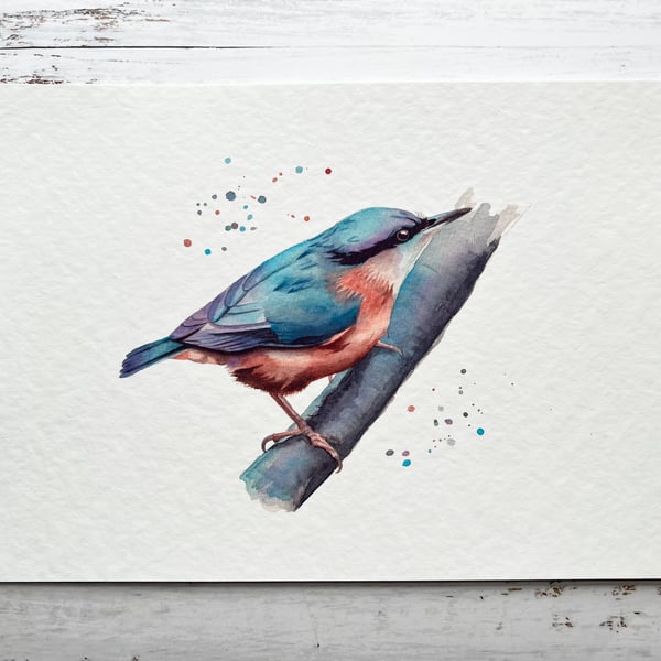 Nuthatch watercolour print