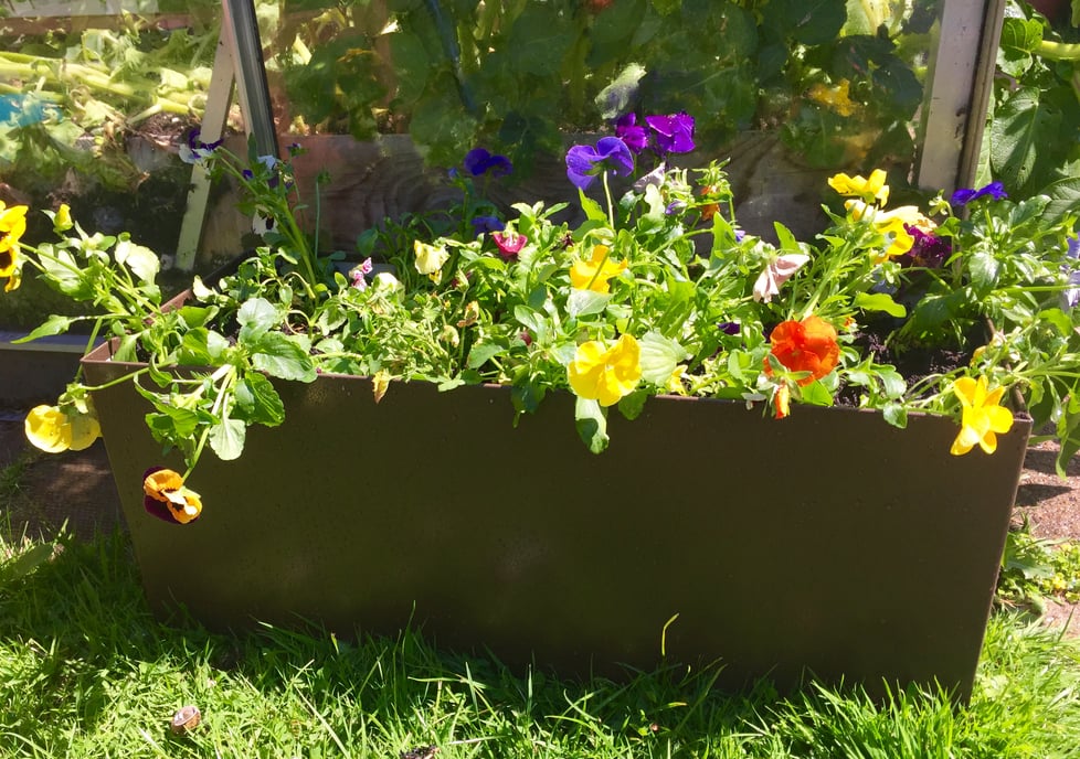 Art & Crafts for your Garden