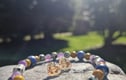 The Zodiac Collection 