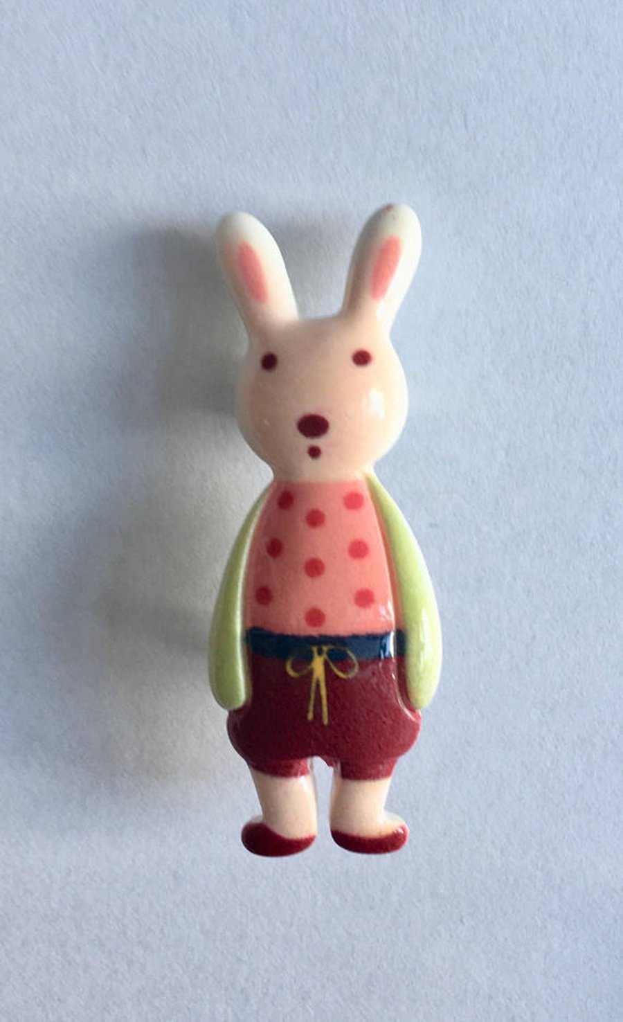 Resin Bunny Rabbit dressed brooches pastel colours 5 designs