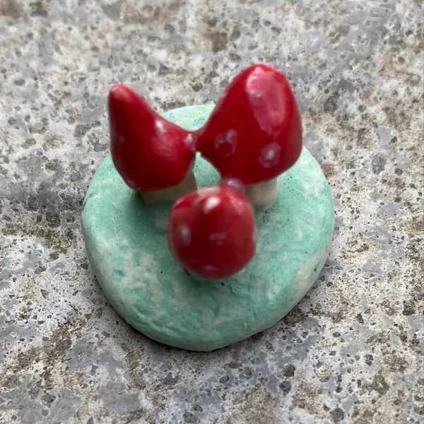 Toadstool cluster